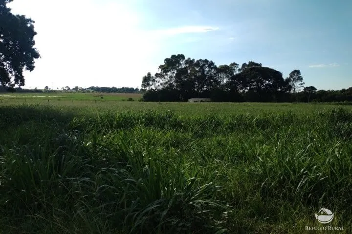 Small farm for sale of 7 acres in Fronteira, MG, Brazil