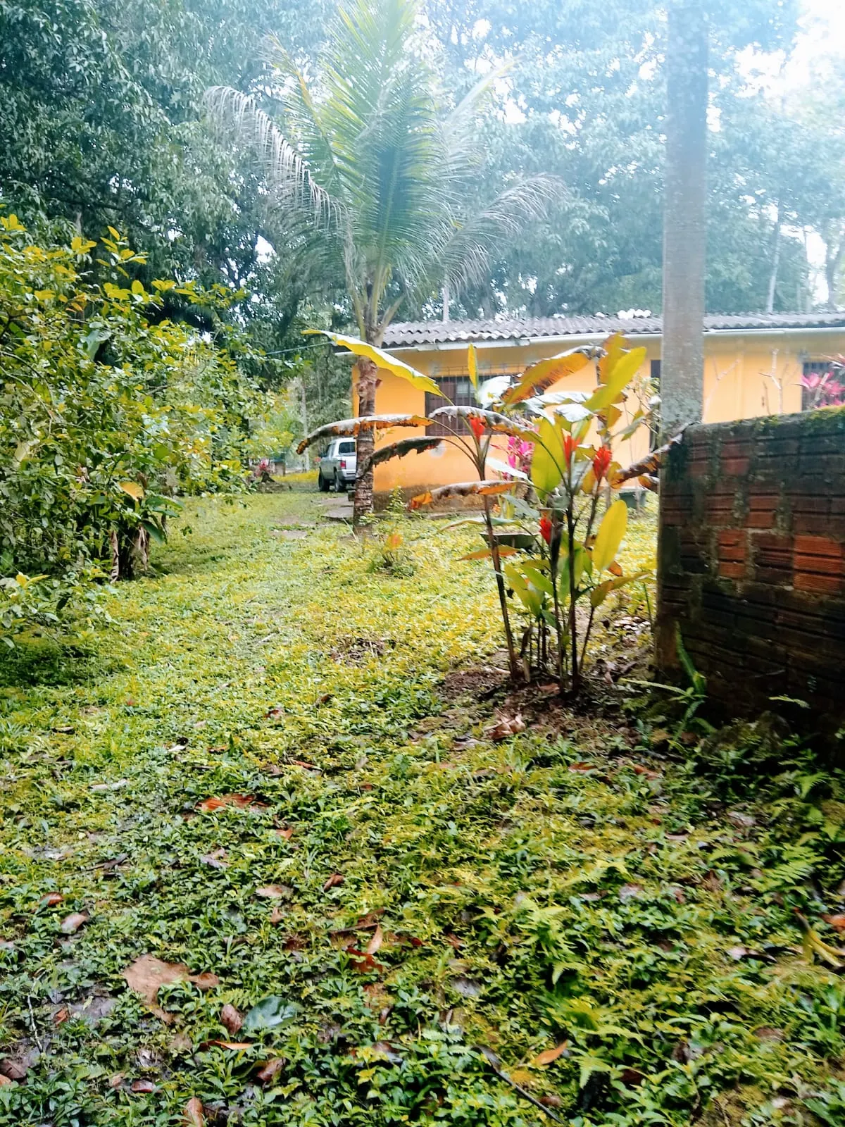 Sítio à venda de 4 ha em Cajati, SP, Brasil
