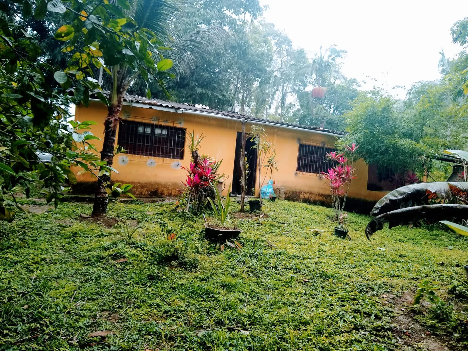 Small farm for sale of 11 acres in Cajati, SP, Brazil