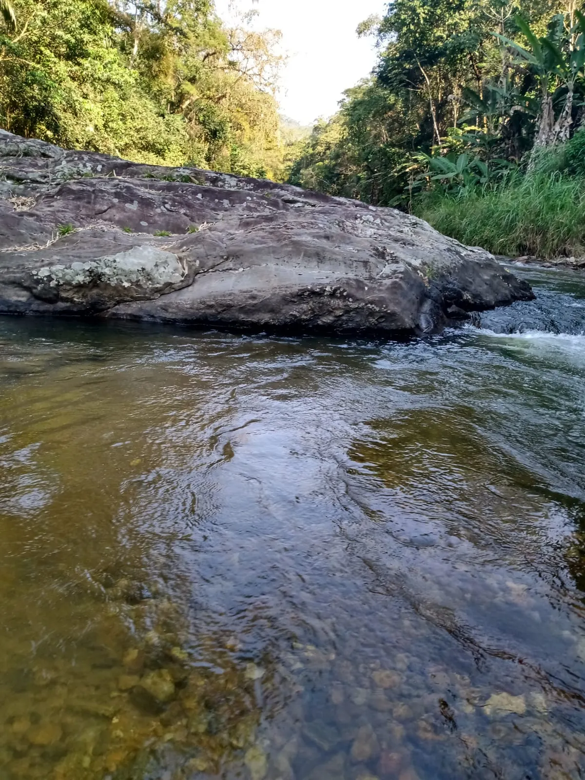 Small farm for sale of 11 acres in Cajati, SP, Brazil