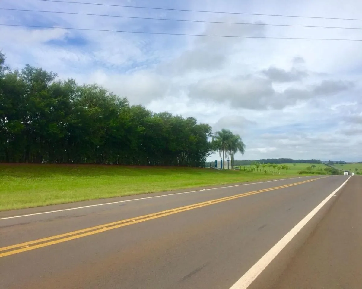 Fazenda à venda de 304 ha em Presidente Prudente, SP, Brasil