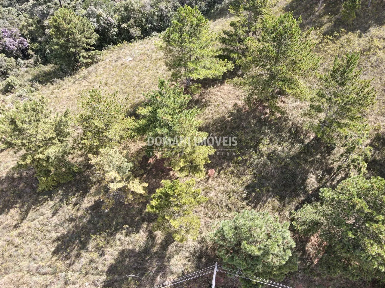 Terreno à venda de 1.460 m² em Campos do Jordão, SP, Brasil
