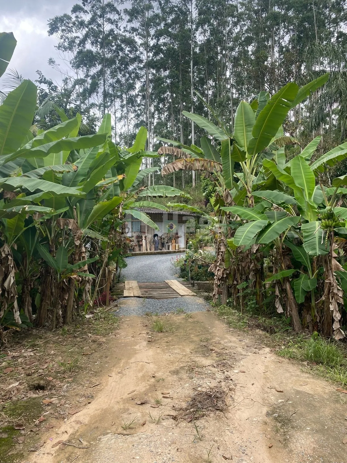 Chácara à venda de 19 ha em Canelinha, SC, Brasil