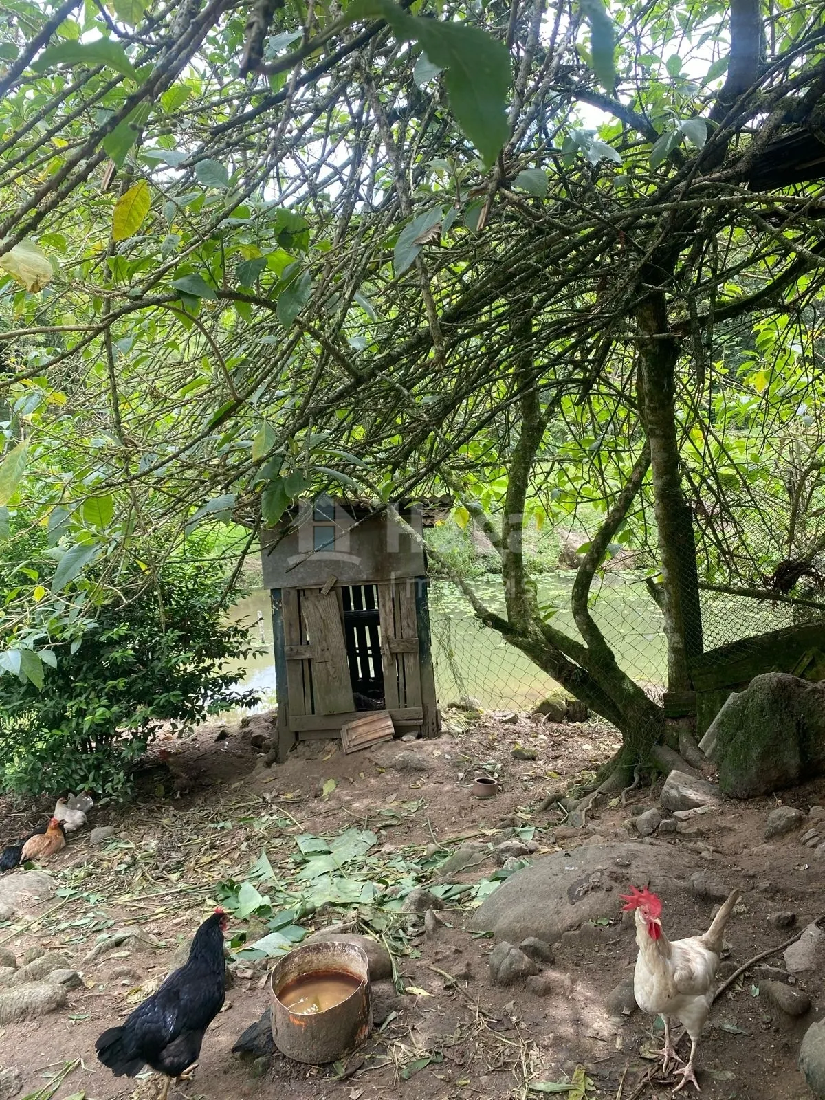 Chácara à venda de 19 ha em Canelinha, SC, Brasil