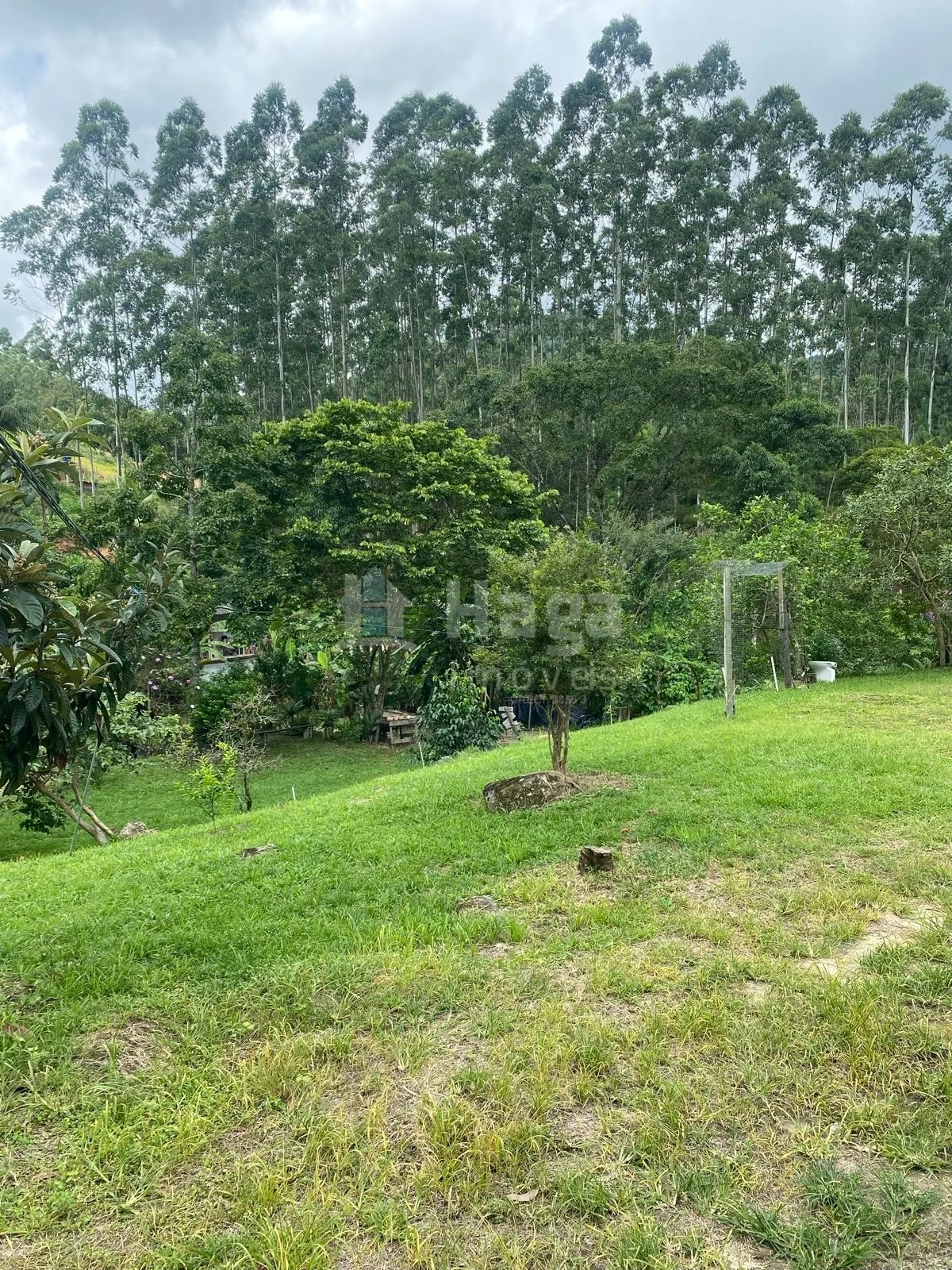 Chácara à venda de 19 ha em Canelinha, SC, Brasil