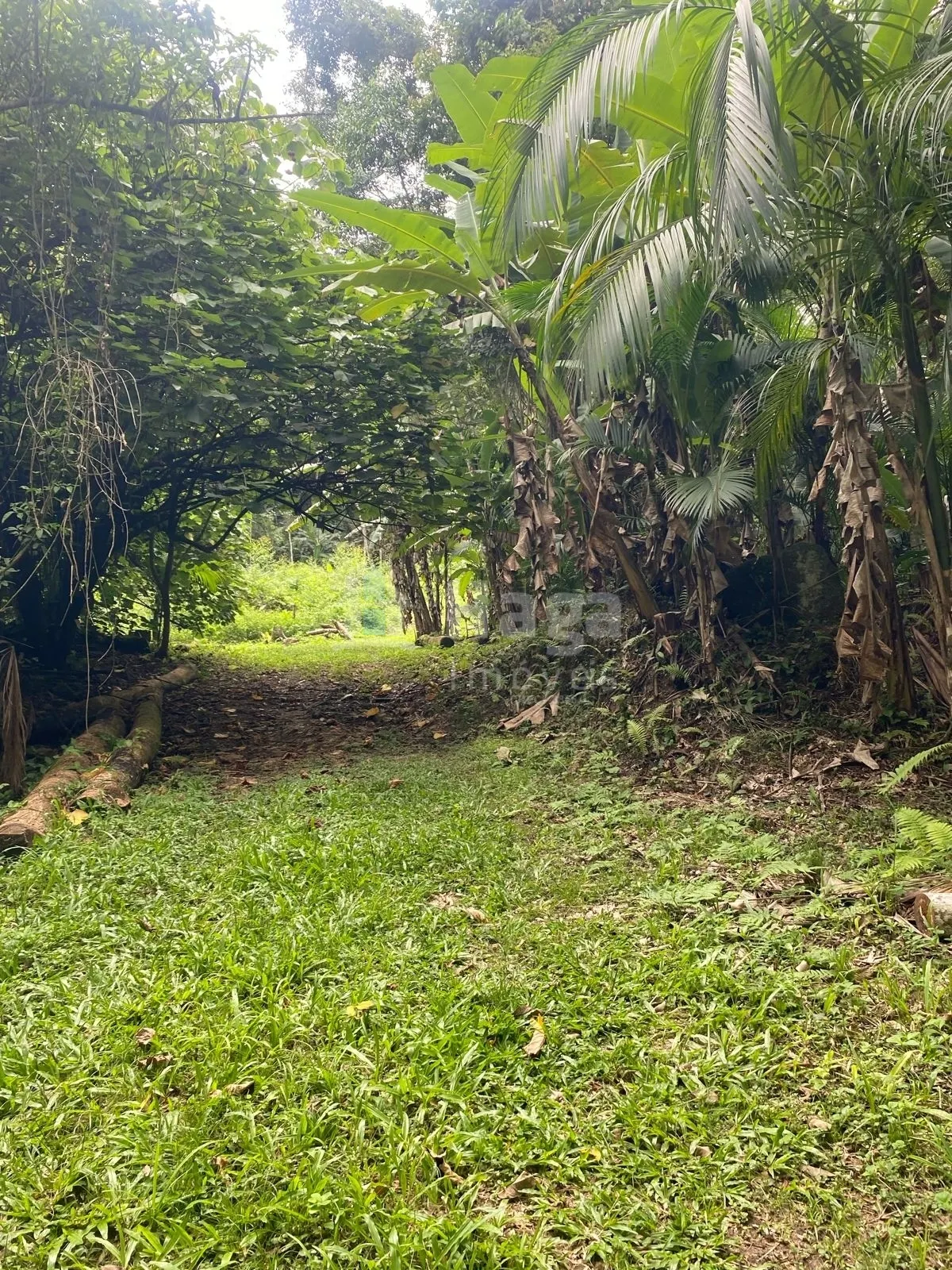 Chácara à venda de 19 ha em Canelinha, SC, Brasil