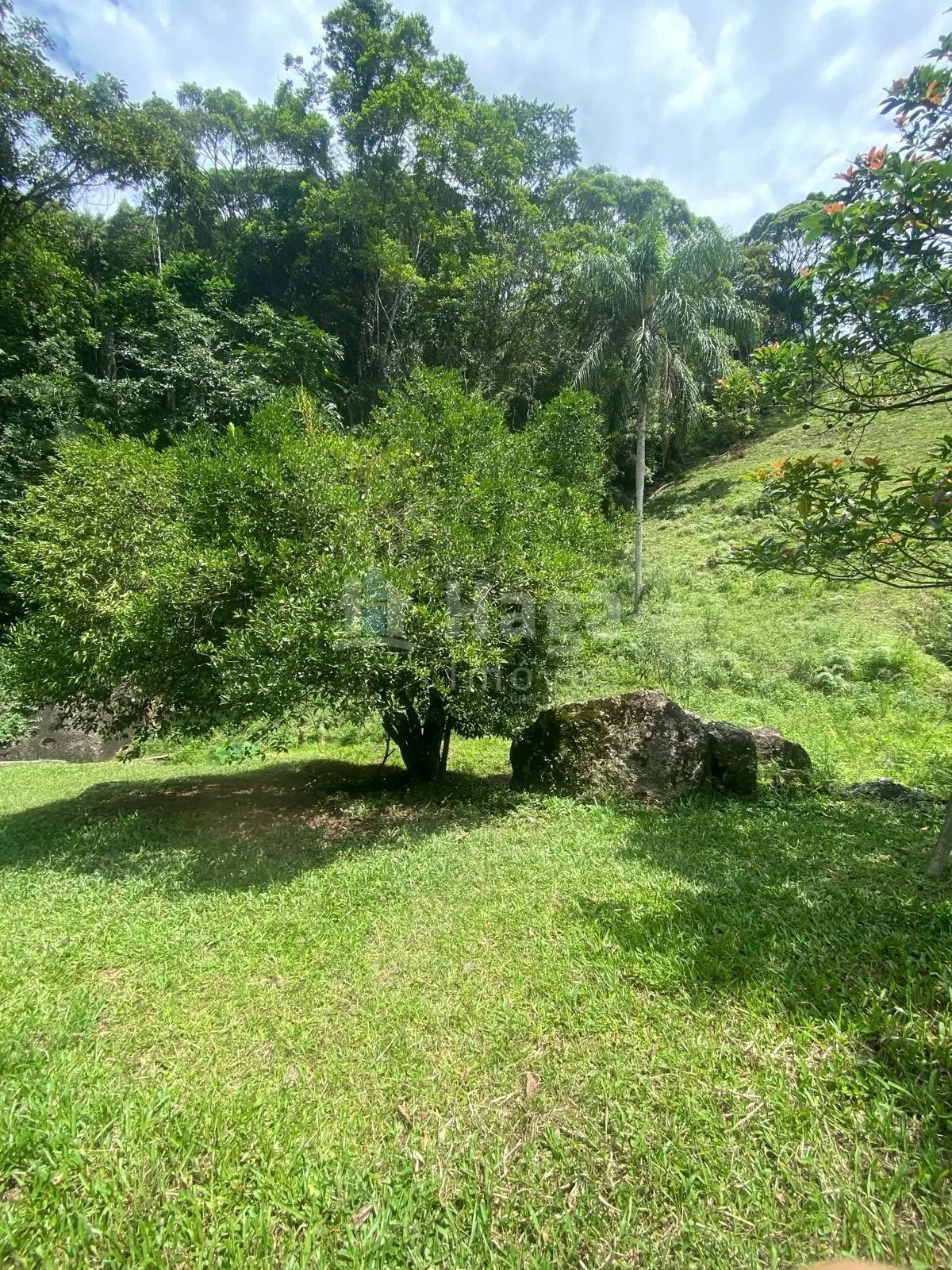 Chácara à venda de 19 ha em Canelinha, SC, Brasil