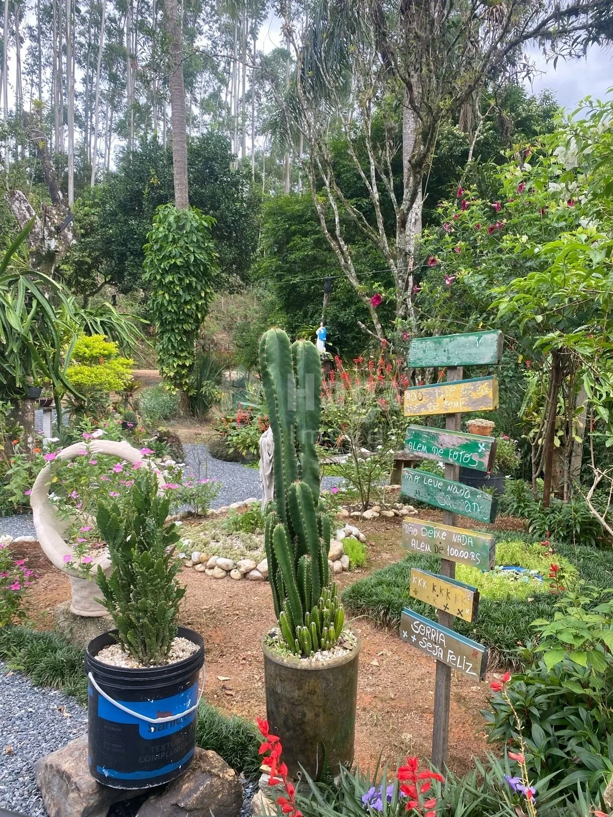 Chácara à venda de 19 ha em Canelinha, SC, Brasil
