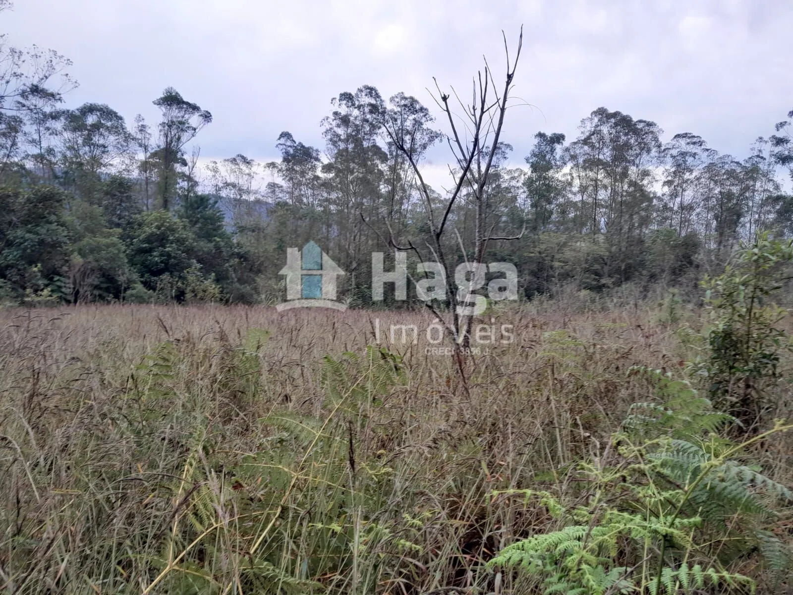 Plot for sale of 51 acres in Turvo, SC, Brazil