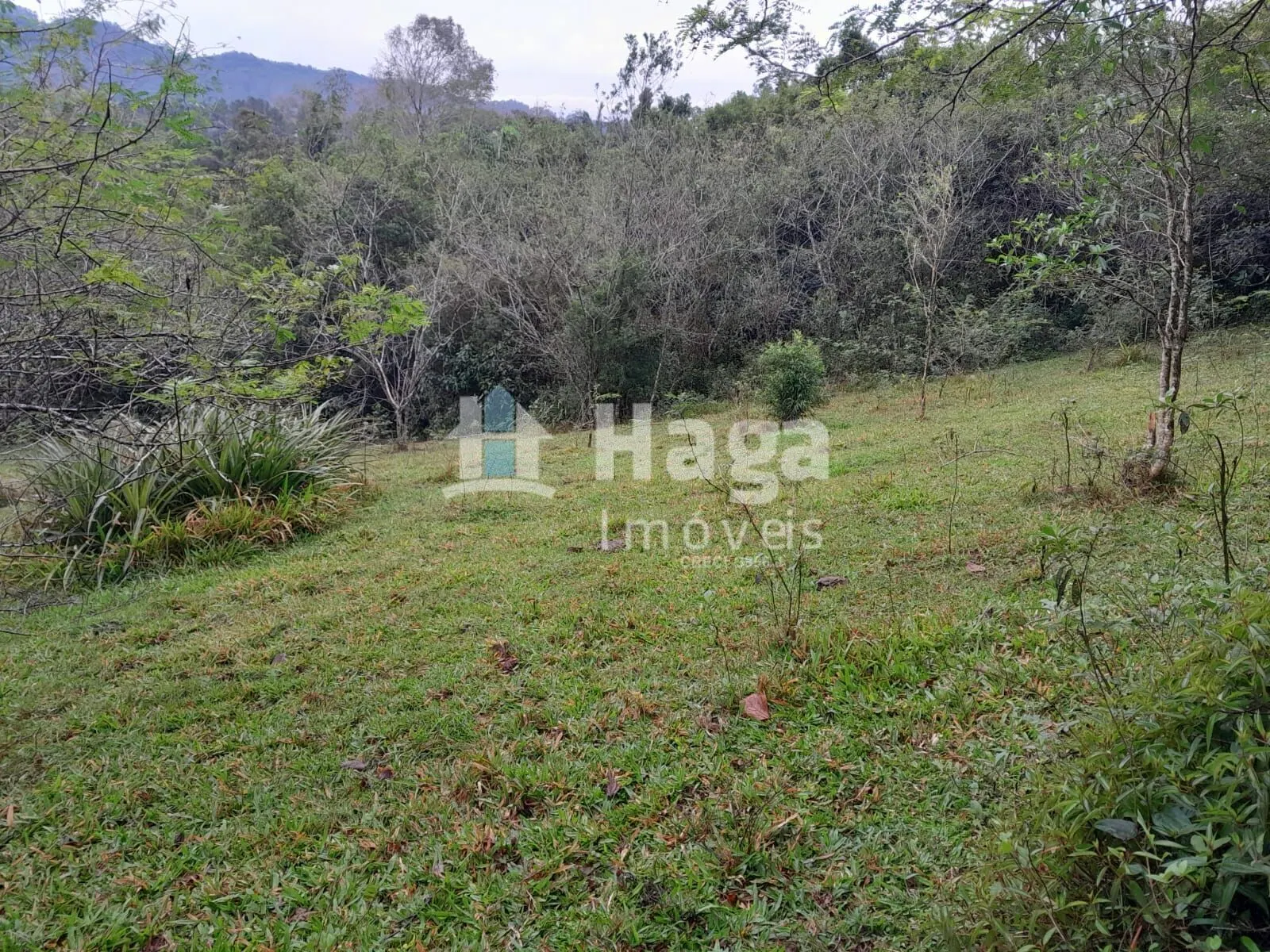 Plot for sale of 51 acres in Turvo, SC, Brazil