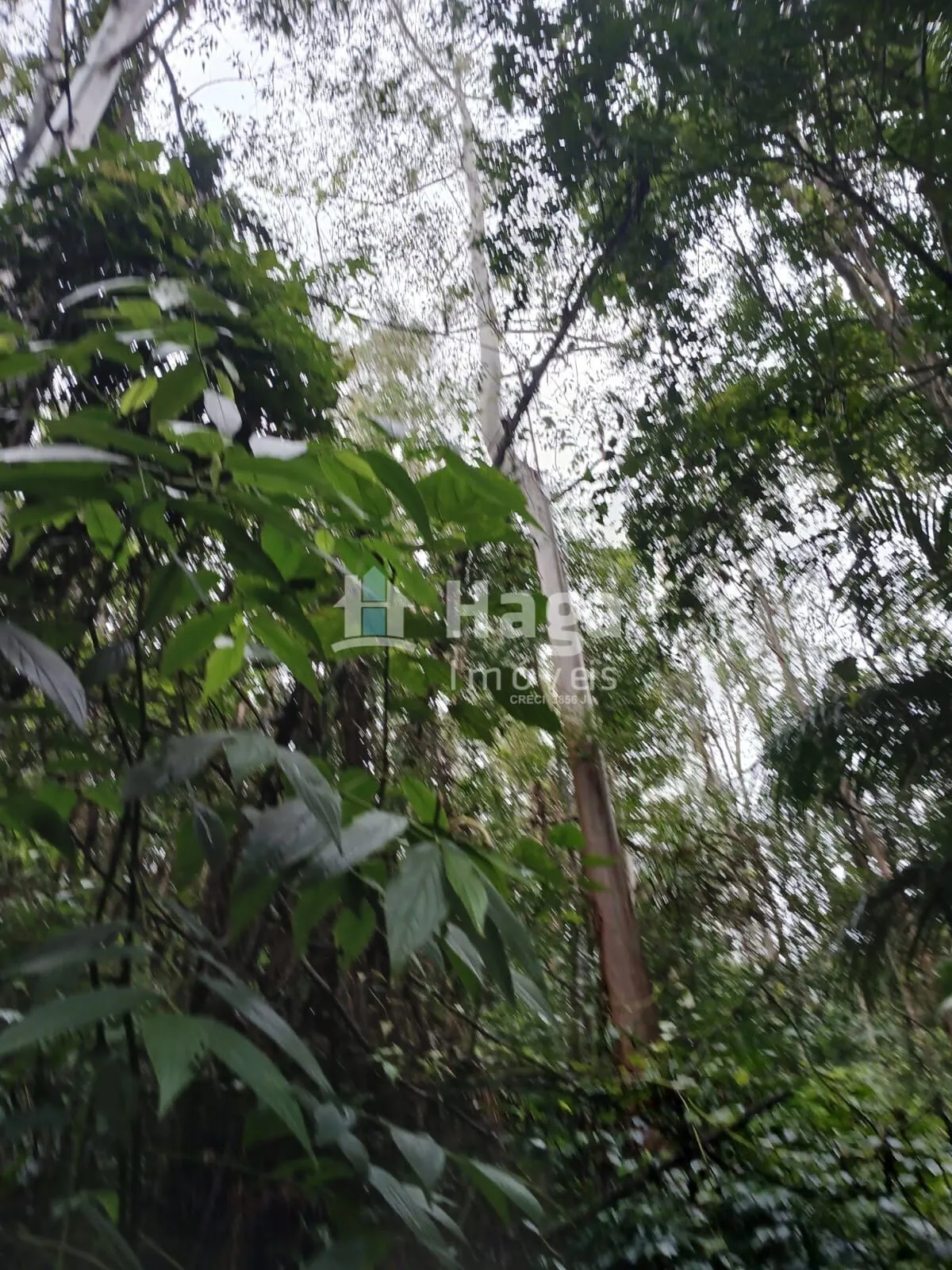 Plot for sale of 51 acres in Turvo, SC, Brazil