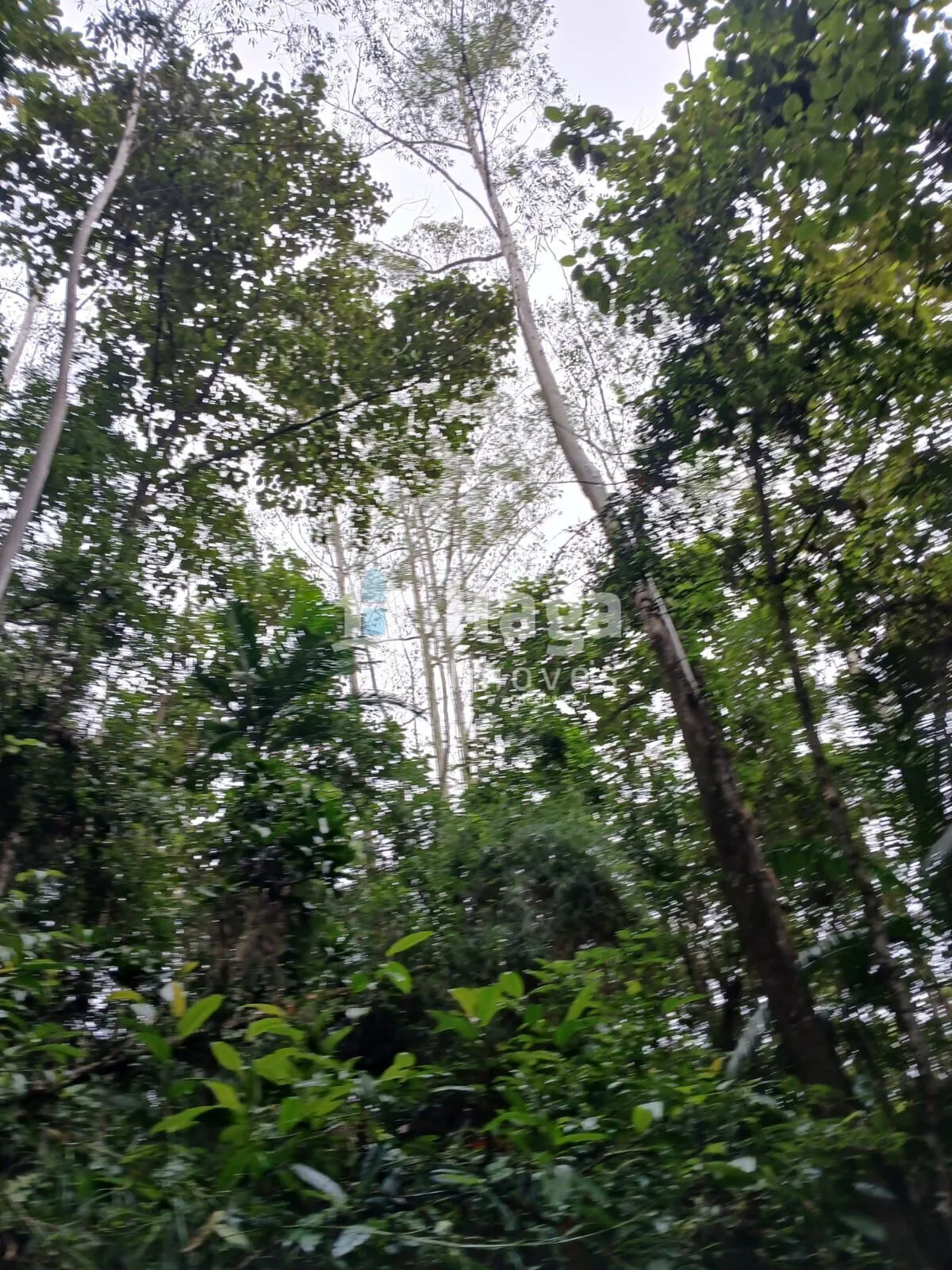 Plot for sale of 51 acres in Turvo, SC, Brazil