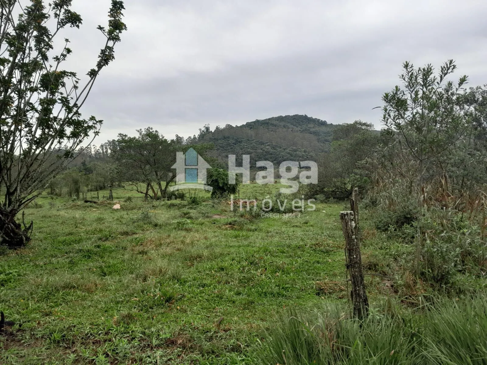 Plot for sale of 51 acres in Turvo, SC, Brazil