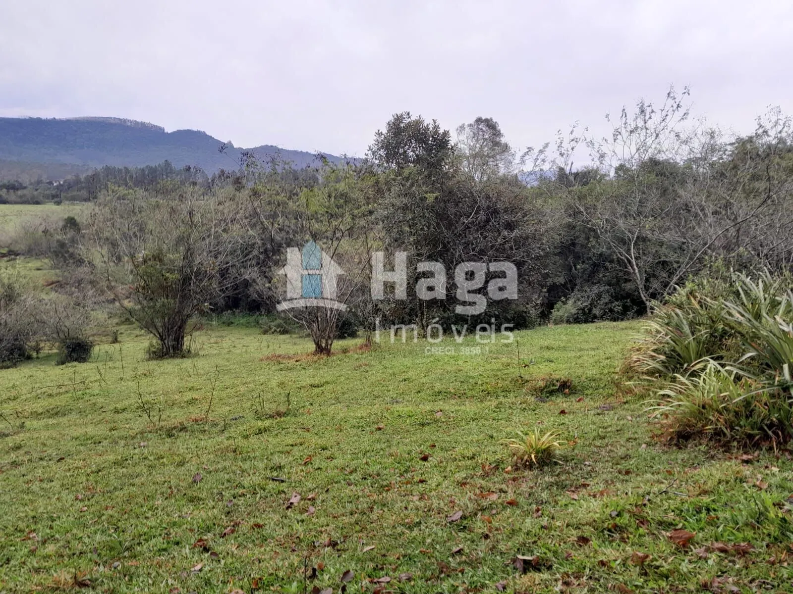 Plot for sale of 51 acres in Turvo, SC, Brazil