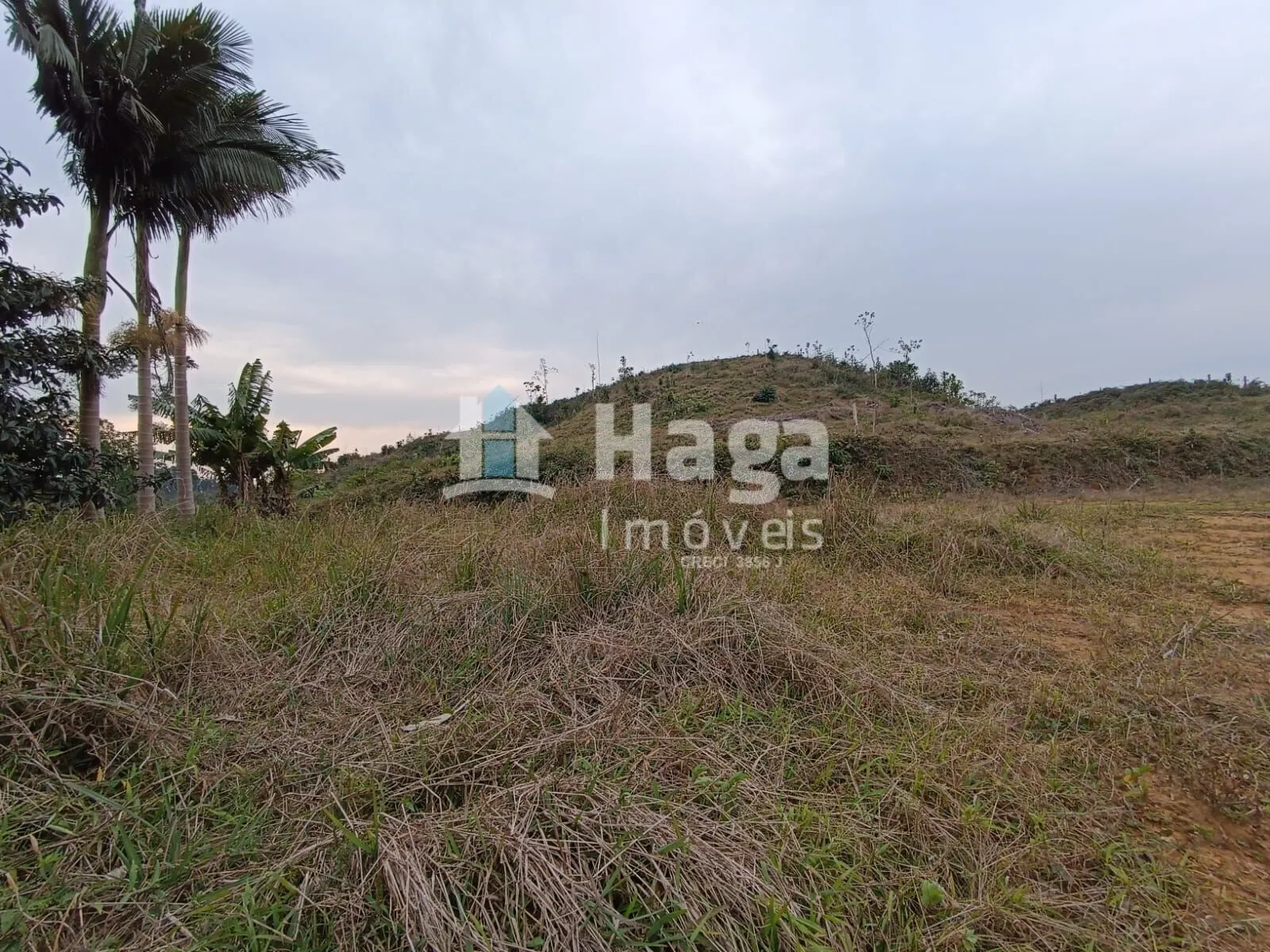 Chácara à venda de 10 ha em Botuverá, SC, Brasil