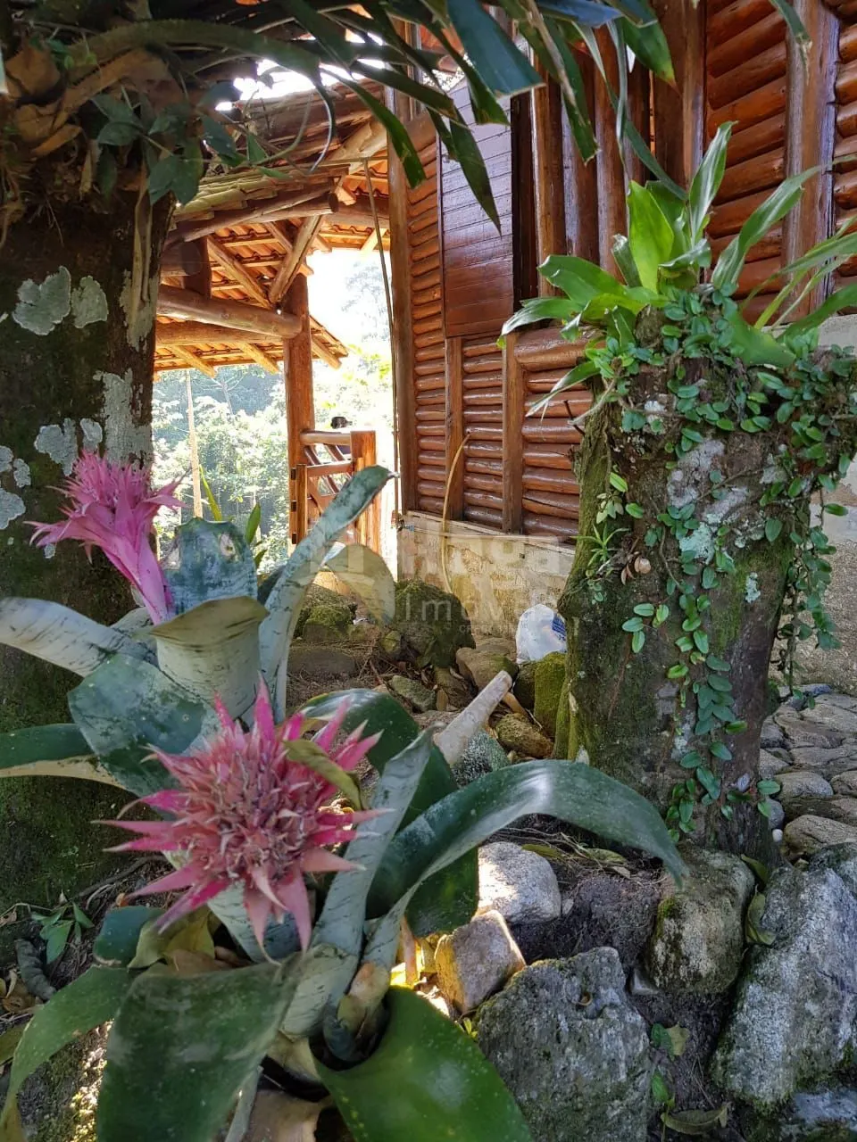 Chácara à venda de 5.900 m² em Canelinha, SC, Brasil