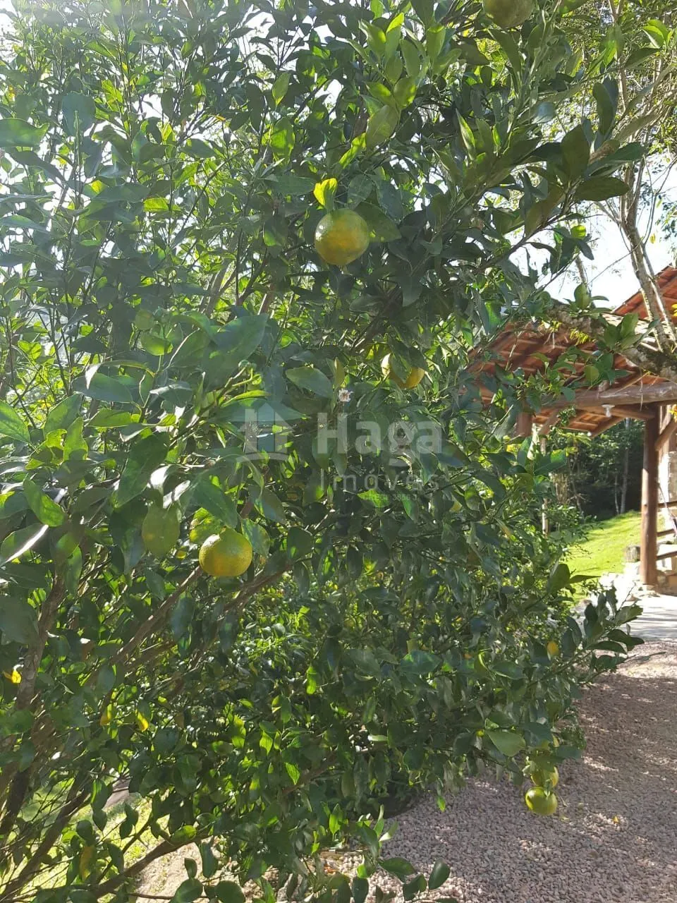 Chácara à venda de 5.900 m² em Canelinha, SC, Brasil