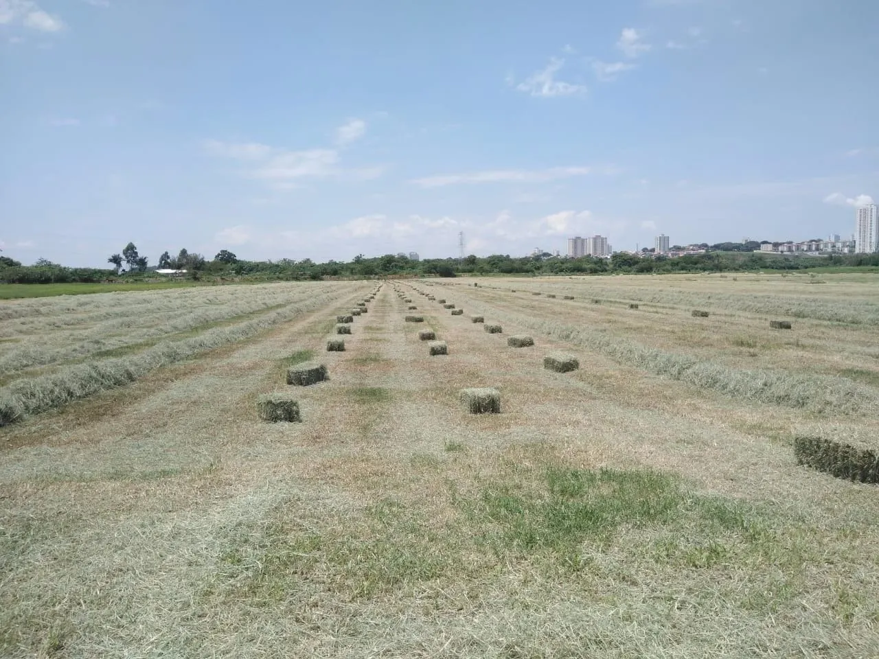 Terreno à venda de 45 ha em São José dos Campos, SP, Brasil