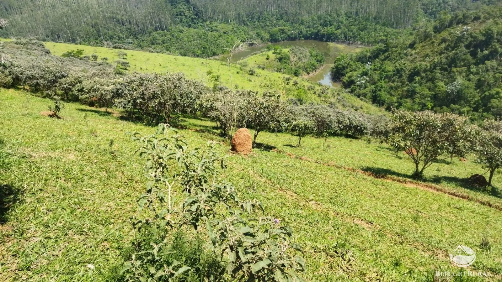 Sítio à venda de 72 ha em São José dos Campos, SP, Brasil