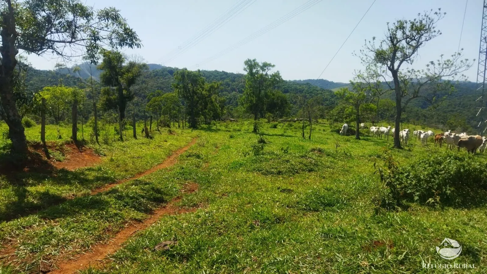 Sítio à venda de 72 ha em São José dos Campos, SP, Brasil