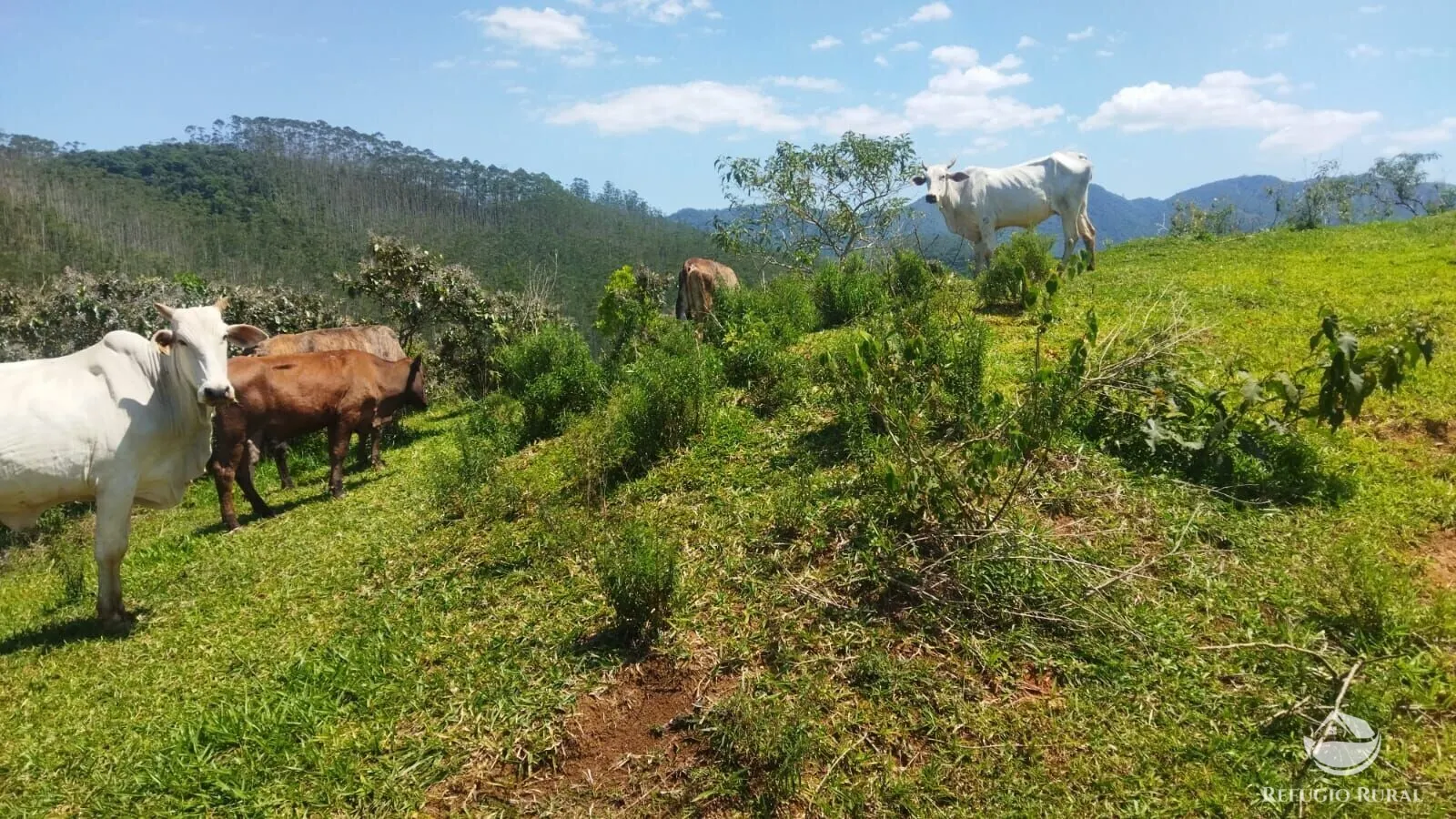 Sítio à venda de 72 ha em São José dos Campos, SP, Brasil