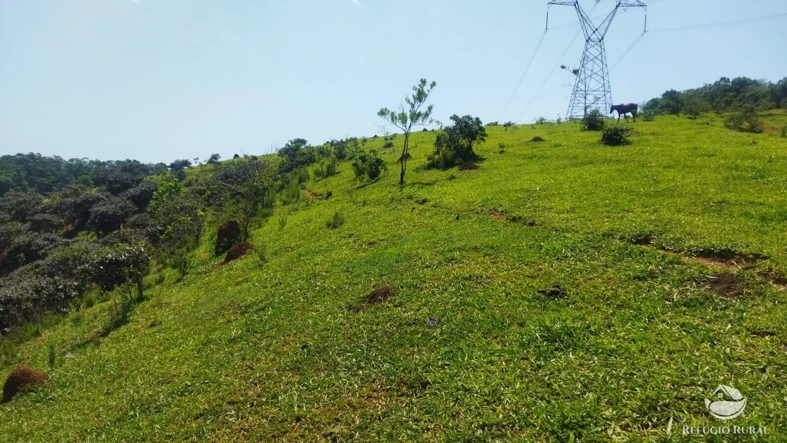 Sítio à venda de 72 ha em São José dos Campos, SP, Brasil