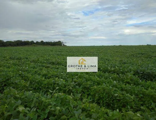 Fazenda à venda de 1.597 ha em Silvanópolis, TO, Brasil