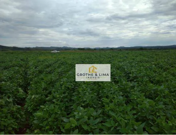 Fazenda à venda de 1.597 ha em Silvanópolis, TO, Brasil