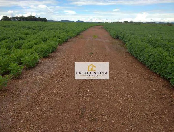 Fazenda à venda de 1.597 ha em Silvanópolis, TO, Brasil
