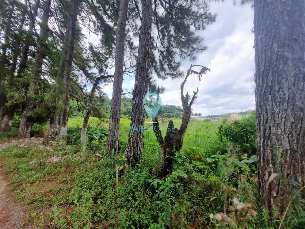Sítio à venda de 7 ha em Piedade, SP, Brasil