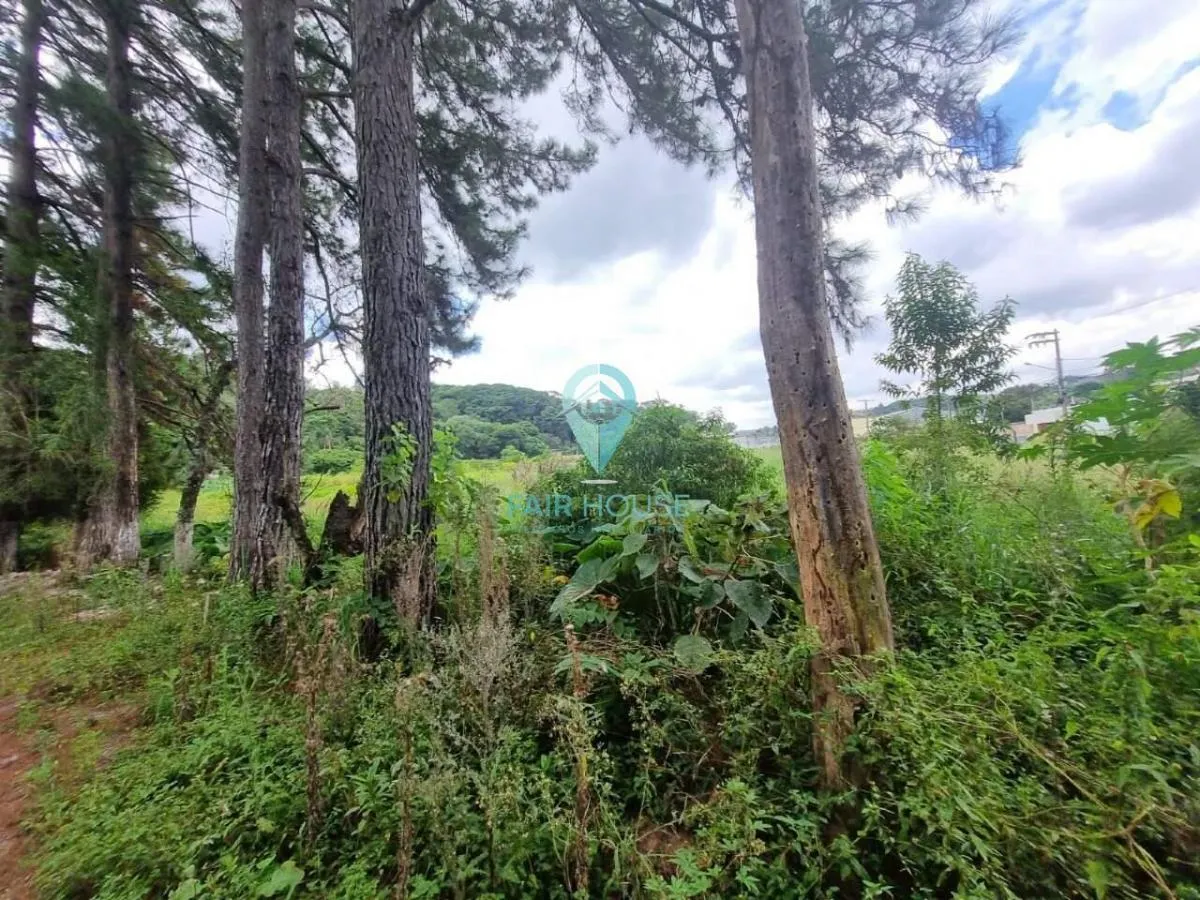 Sítio à venda de 7 ha em Piedade, SP, Brasil