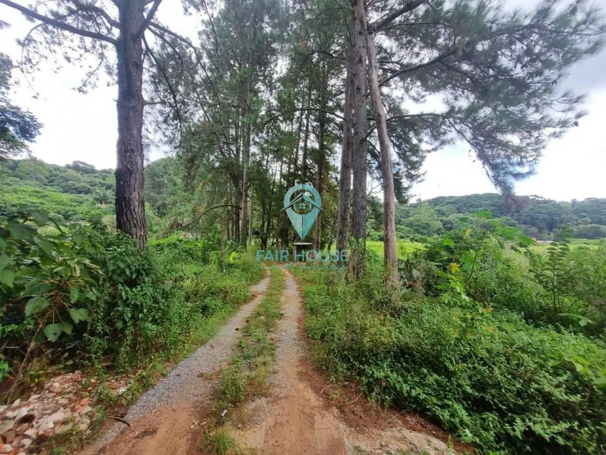 Sítio à venda de 7 ha em Piedade, SP, Brasil