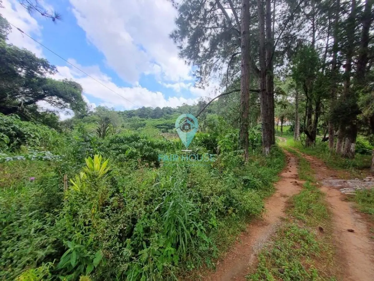 Sítio à venda de 7 ha em Piedade, SP, Brasil
