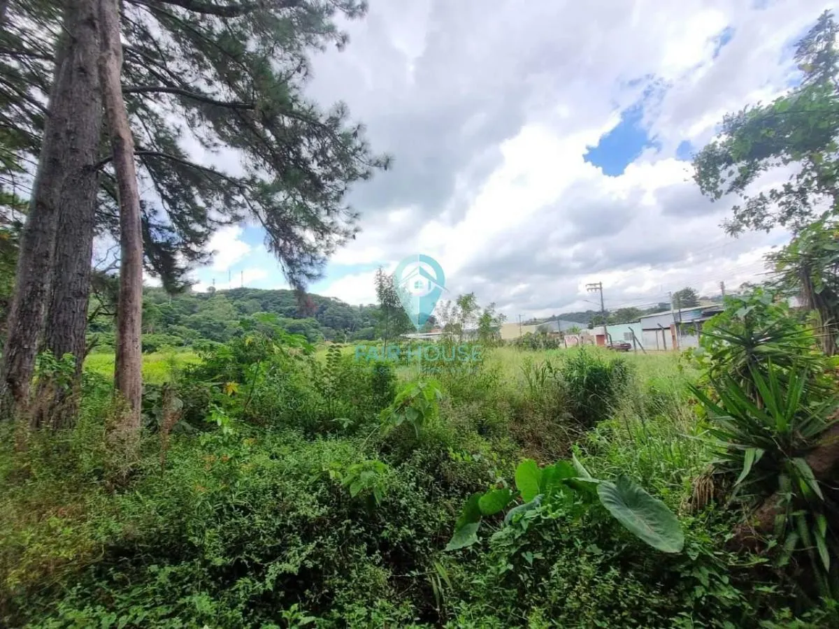 Sítio à venda de 7 ha em Piedade, SP, Brasil