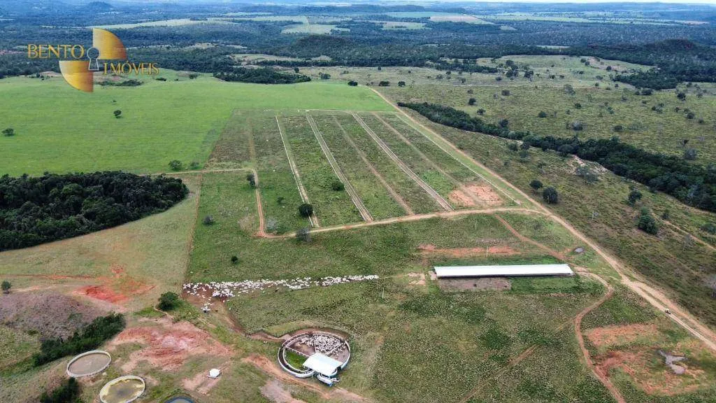 Fazenda à venda de 1.160 ha em Primavera do Leste, MT, Brasil