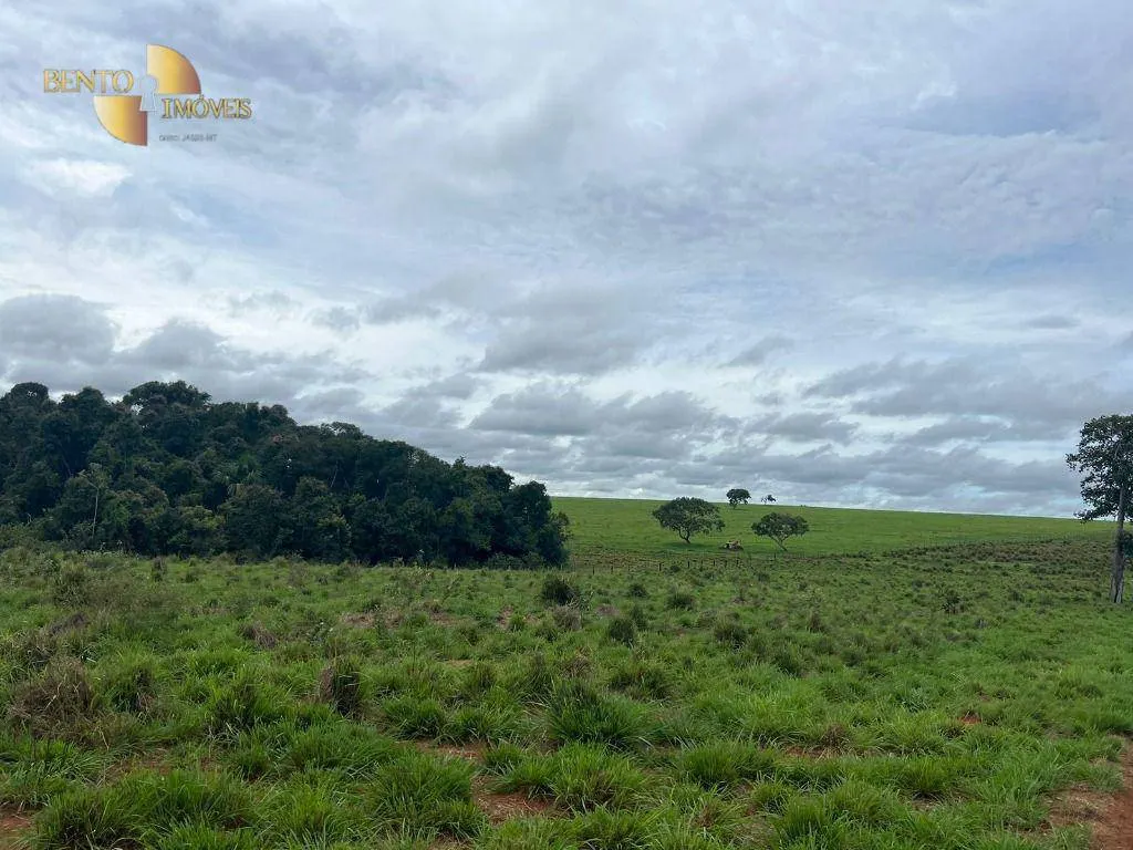 Fazenda à venda de 1.160 ha em Primavera do Leste, MT, Brasil