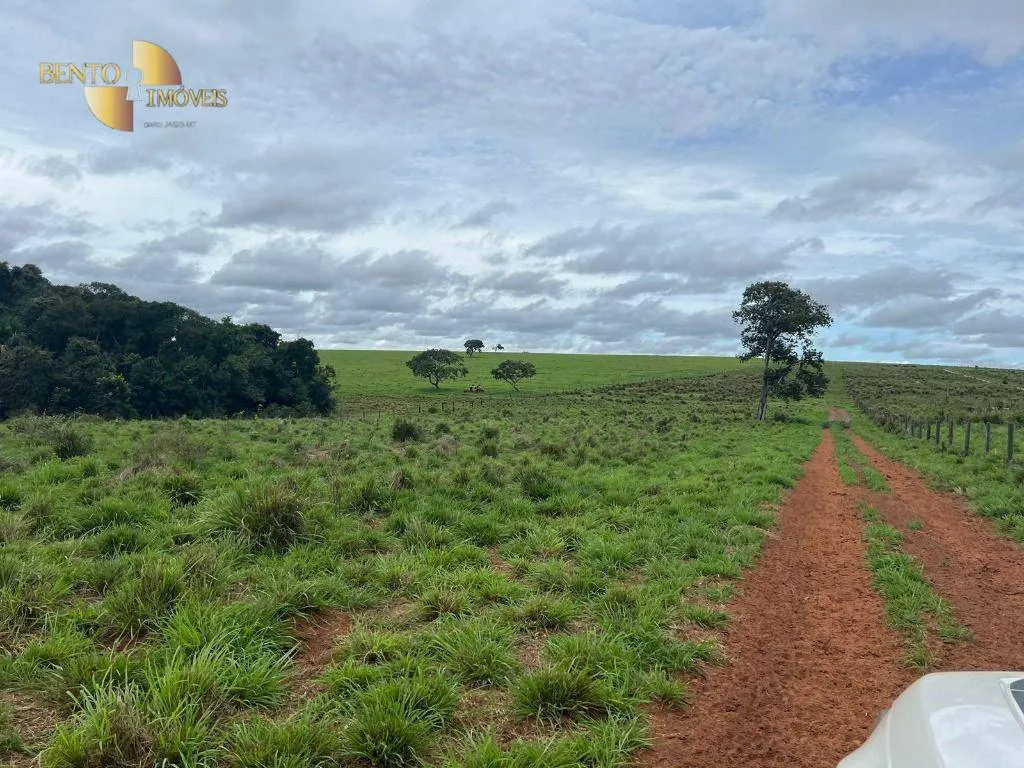 Fazenda à venda de 1.160 ha em Primavera do Leste, MT, Brasil