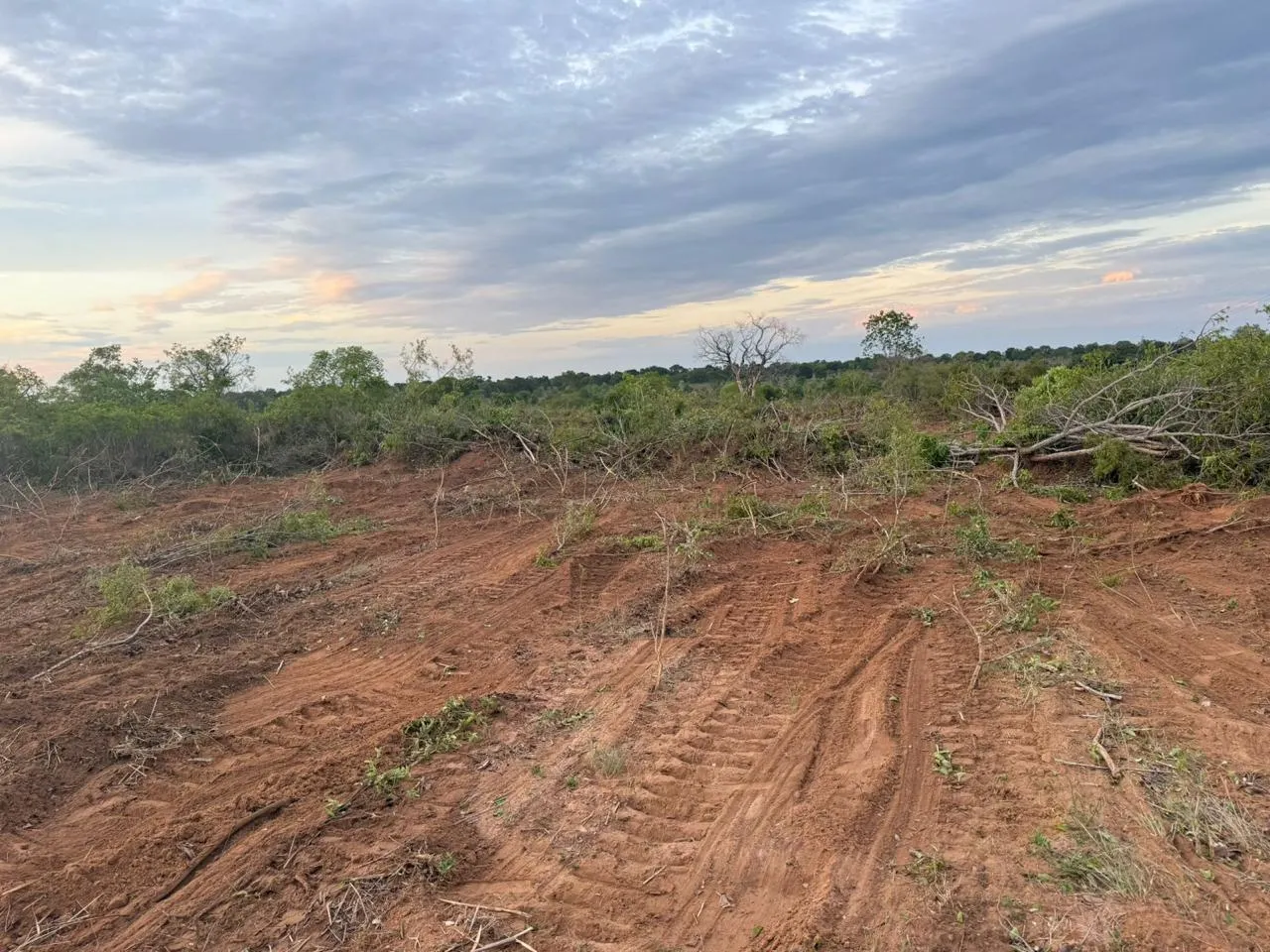 Fazenda à venda e para Arrendar de 3.000 ha em São Romão, MG, Brasil