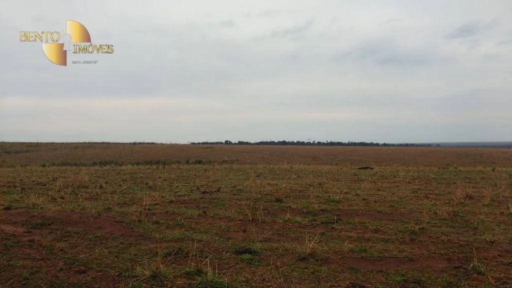 Farm for sale of 22,239 acres in Paranatinga, MT, Brazil