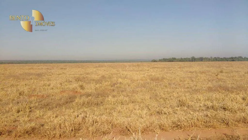 Farm for sale of 22,239 acres in Paranatinga, MT, Brazil