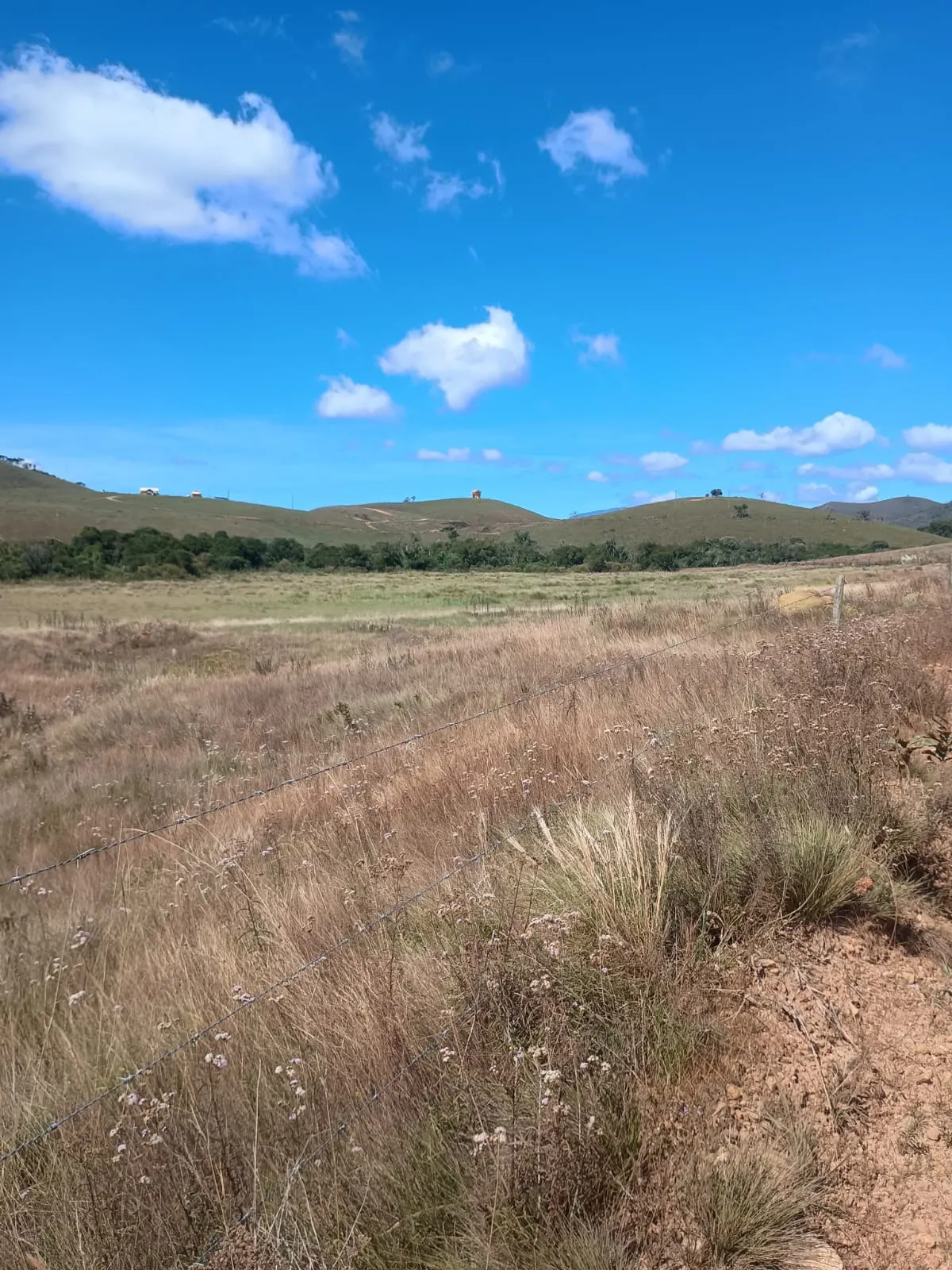 Terreno à venda de 1 ha em Alagoa, MG, Brasil