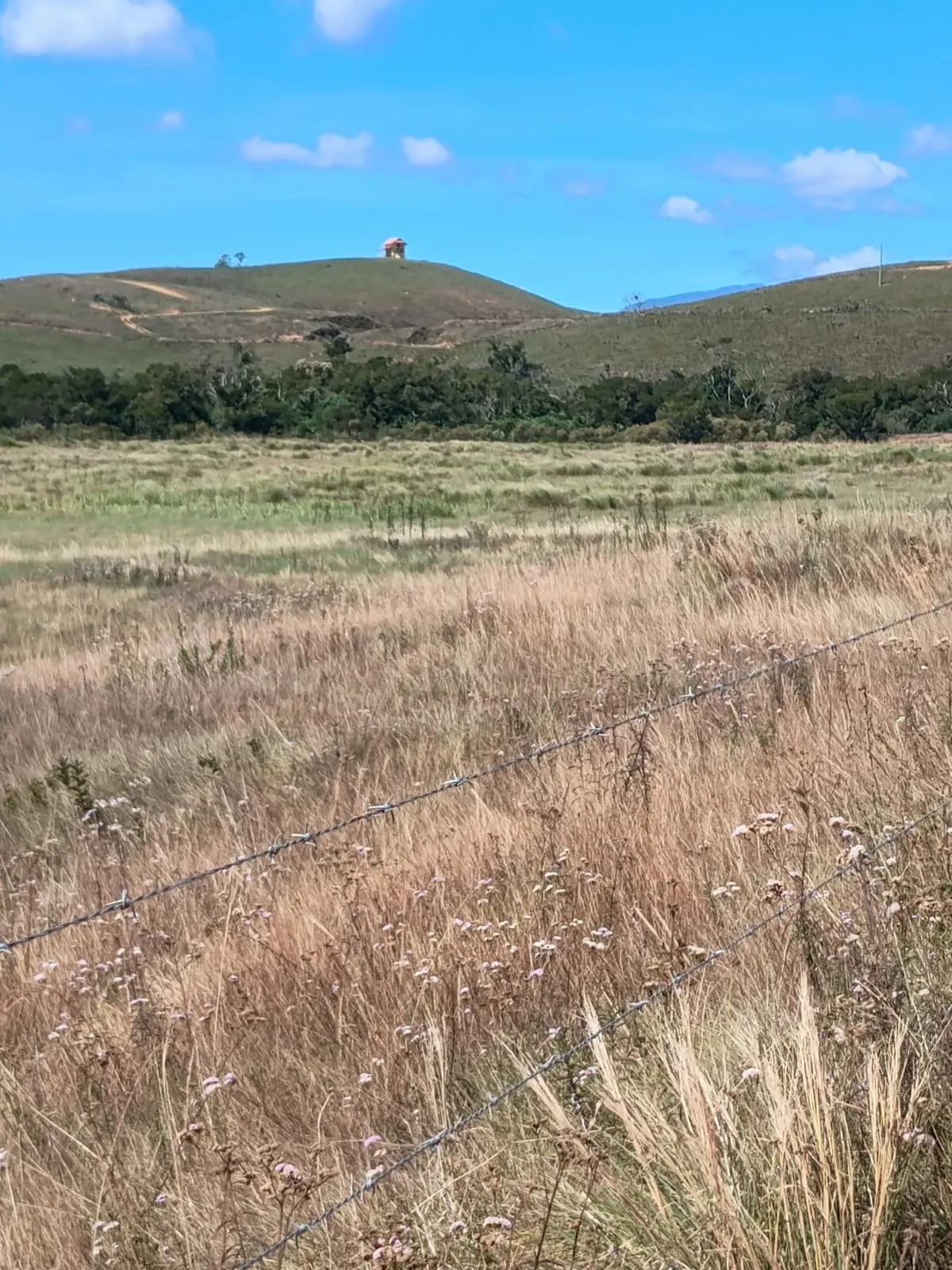Terreno à venda de 1 ha em Alagoa, MG, Brasil