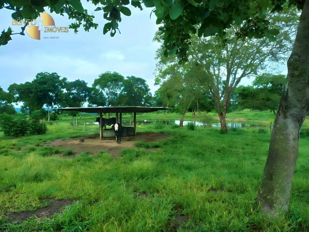 Fazenda à venda de 303 ha em Pedra Preta, MT, Brasil