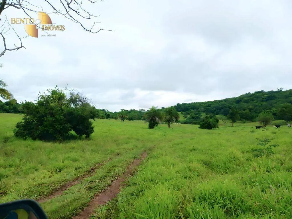Fazenda à venda de 303 ha em Pedra Preta, MT, Brasil