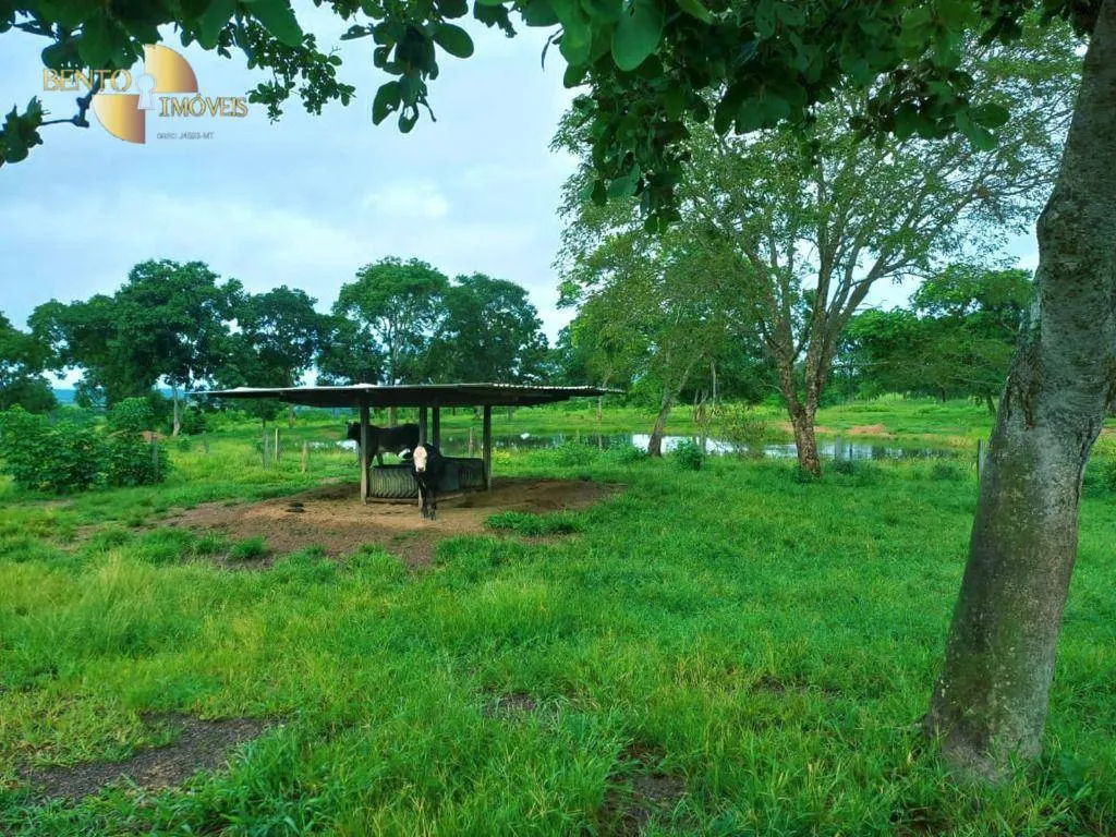 Fazenda à venda de 303 ha em Pedra Preta, MT, Brasil
