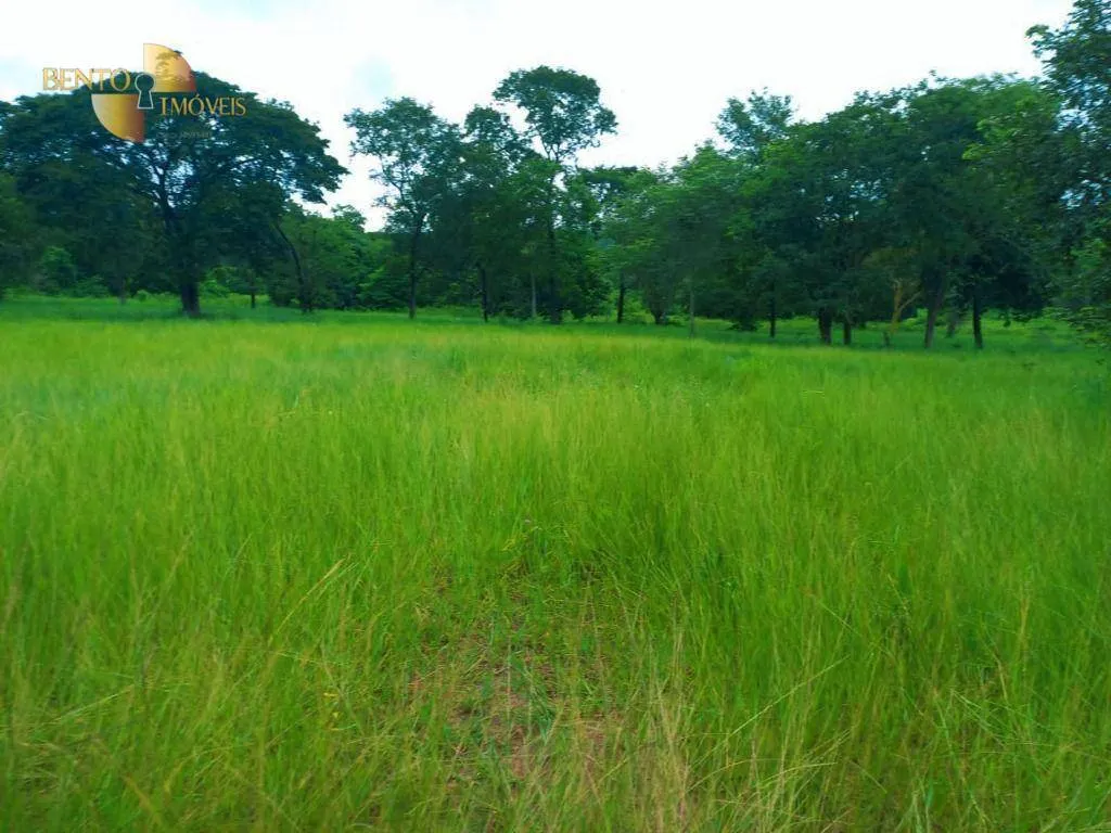 Fazenda à venda de 303 ha em Pedra Preta, MT, Brasil