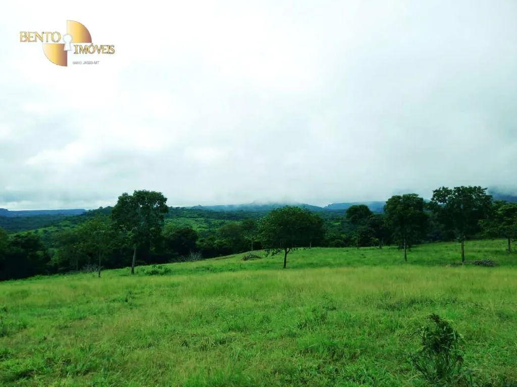 Fazenda à venda de 303 ha em Pedra Preta, MT, Brasil