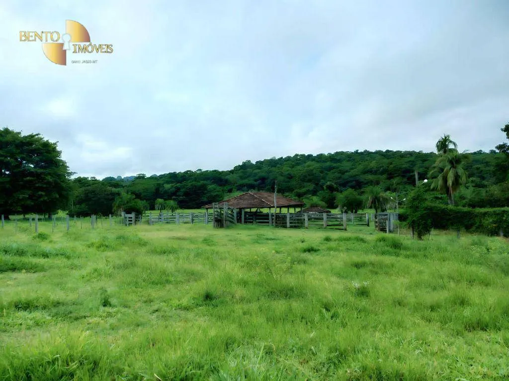 Fazenda à venda de 303 ha em Pedra Preta, MT, Brasil