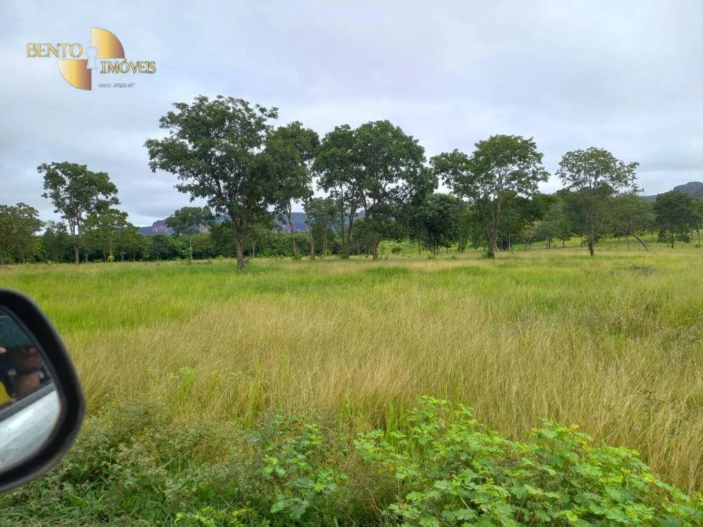 Fazenda à venda de 303 ha em Pedra Preta, MT, Brasil