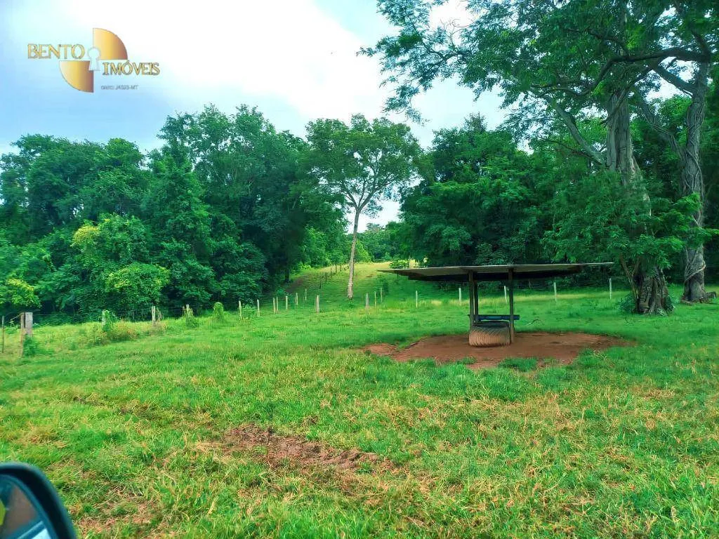Fazenda à venda de 303 ha em Pedra Preta, MT, Brasil